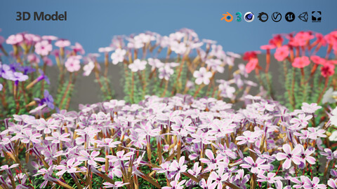 low poly creeping phlox flowers 3d model with free speedtree tutorial