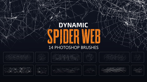 Spider Web Brushes | MS Brushes