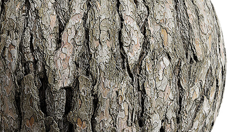 Bark Seamless Texture Patterns 2k (2048*2048) | EXR 5 | JPG 5 File Formats.