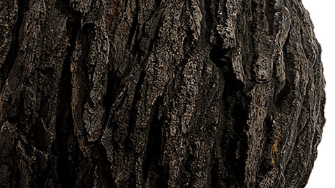 Bark Seamless Texture Patterns 2k (2048*2048) | EXR 5 | JPG 5 File Formats.