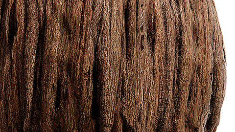 Bark Seamless Texture Patterns 2k (2048*2048) | EXR 5 | JPG 5 File Formats.