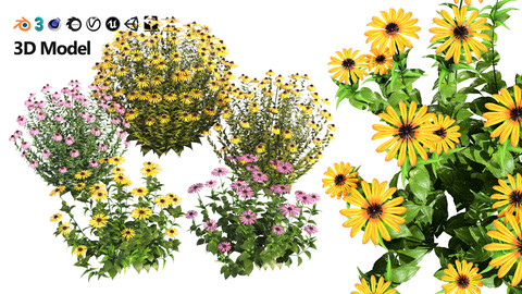 Coneflowers and Black-Eyed Susans with free tutorial