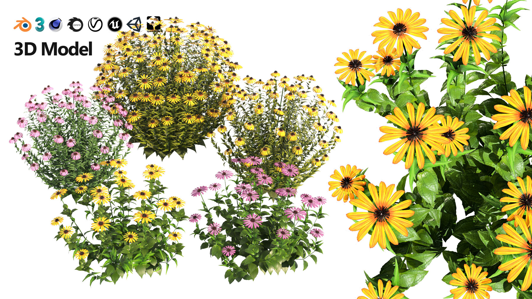 ArtStation - Coneflowers and Black-Eyed Susans with free tutorial ...