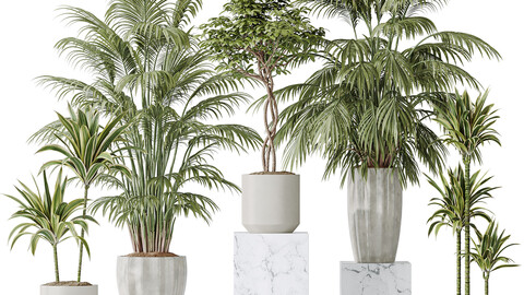 Indoor plant set 11