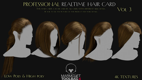Professional Realtime Haircard - Vol 3