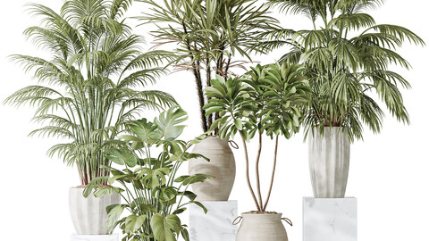 Indoor plant set 19