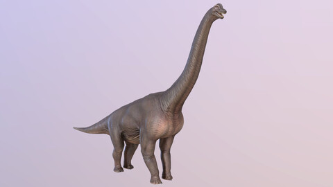 Brachiosaurus