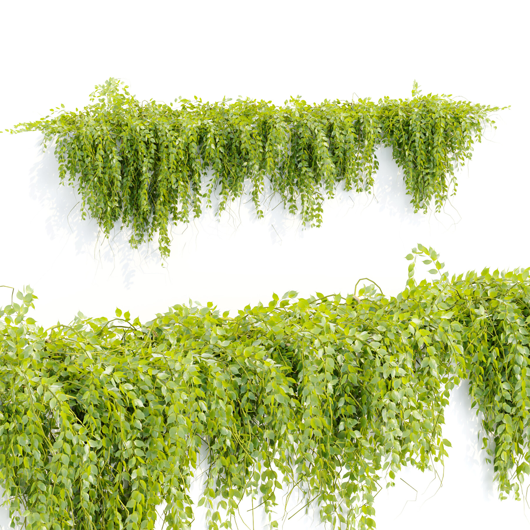 ArtStation - Hanging wall plants collection vol 109-3dsmax-3dmodel ...