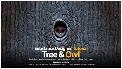 Substance Designer Tutorial | Tree Bark & Owl