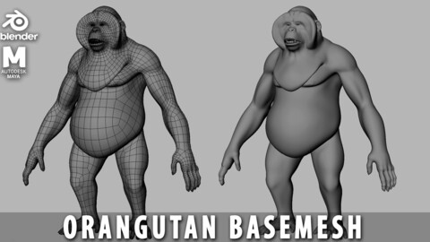 Orangutan BaseMesh - Topology + UV map
