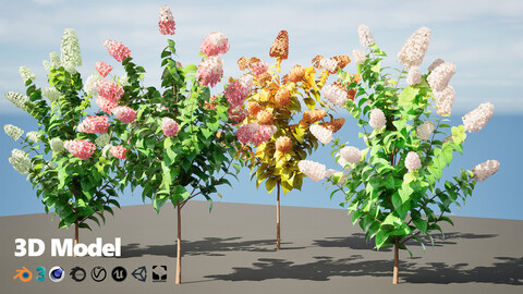 Low-Poly Limelight Hydrangeas Flowering trees with Free Tutorial