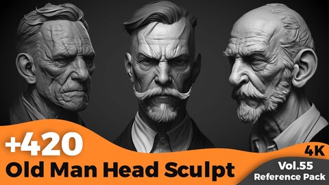 +420 Old Man Head Sculpt References(4k)
