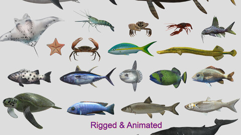 Fish Collection Animated - Game Ready Pack 4
