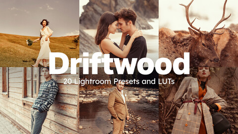 20 Driftwood LUTs & Lightroom Presets