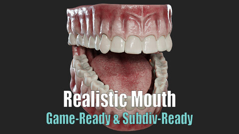 Realistic Mouth (Jaw) & Teeth | Mid-poly & Low-poly versions