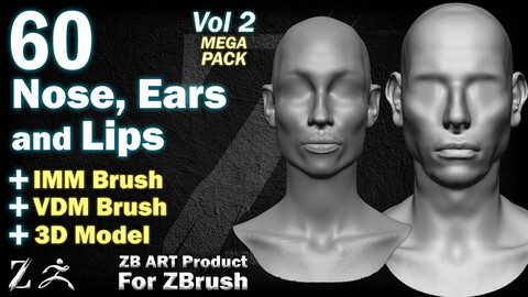 60 ZB ART Male and Female Nose, Ears and Lips For ZBrush (IMM Brush + VDM Brush + 3D Model) - Vol 2