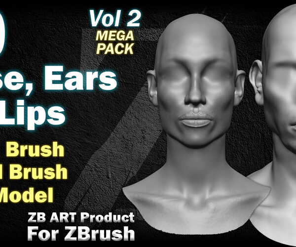 ArtStation - 60 ZB ART Male and Female Nose, Ears and Lips For ZBrush ...