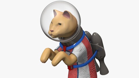 Rocket Cat 3D Model