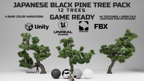 Japanese Black Pine Tree Pack / GameReady