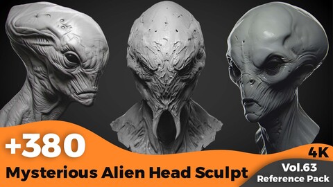 +380 Mysterious Alien Head Sculpt Reference(4k)