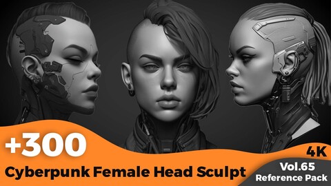 +300 Cyberpunk Female Head Sculpt Reference(4k)
