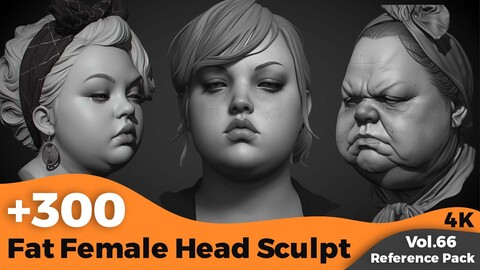 +300 Fat Female Head Sculpt Reference(4k)