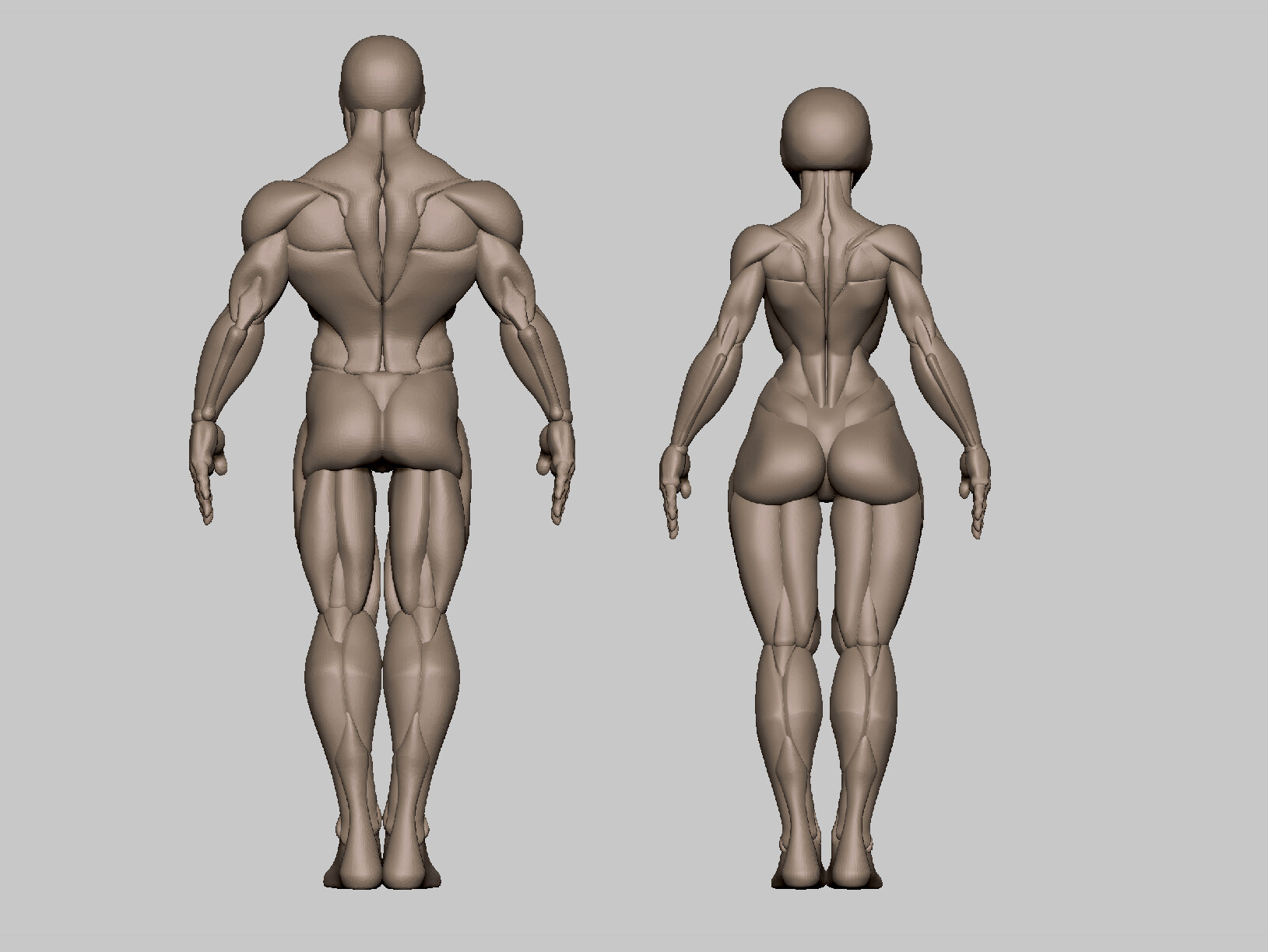 ArtStation - Pack - Stylized Full Male and Female Body Base Meshes