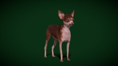 Moscow Toy Terrier Dog Breed