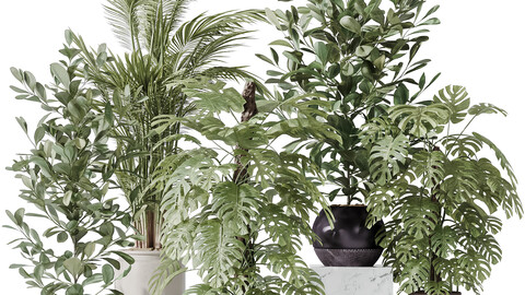 Indoor plant set 38