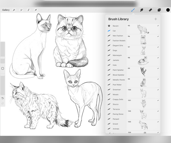 ArtStation - 100 Procreate Cats Stamp Brushes | Procreate Animals Stamp ...