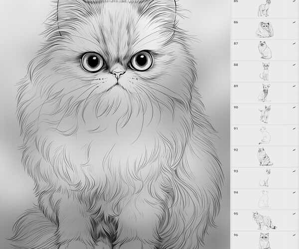 ArtStation - 100 Procreate Cats Stamp Brushes | Procreate Animals Stamp ...