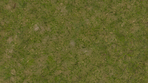 Grass Seamless Texture 2k (2048*2048) | EXR 5 | JPG 5 File Formats All Texture Apply After Object Look Like A 3D. (1K preview image)