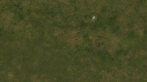 Grass Seamless Texture 2k (2048*2048) | EXR 5 | JPG 5 File Formats All Texture Apply After Object Look Like A 3D. (1K preview image)