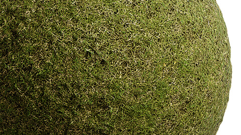 Grass Seamless Texture Patterns 2k (2048*2048) | EXR 5 | JPG 5 File Formats. (1K preview image)