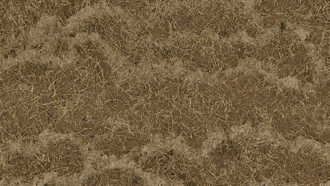 Grass Seamless Texture 2k (2048*2048) | EXR 5 | JPG 5 File Formats All Texture Apply After Object Look Like A 3D. (1K preview image)