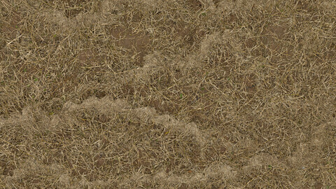 Grass Seamless Texture 2k (2048*2048) | EXR 5 | JPG 5 File Formats All Texture Apply After Object Look Like A 3D. (1K preview image)