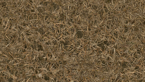 Grass Seamless Texture 2k (2048*2048) | EXR 5 | JPG 5 File Formats All Texture Apply After Object Look Like A 3D. (1K preview image)