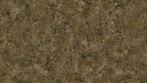 Grass Seamless Texture 2k (2048*2048) | EXR 5 | JPG 5 File Formats All Texture Apply After Object Look Like A 3D. (1K preview image)