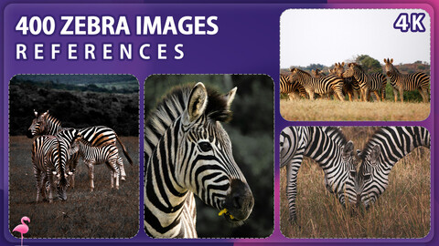 400 Zebra Image Reference Pack – Vol 1