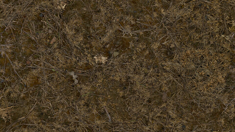 Grass Seamless Texture 2k (2048*2048) | EXR 5 | JPG 5 File Formats All Texture Apply After Object Look Like A 3D. (1K preview image)