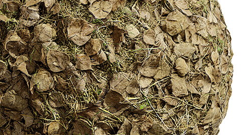 Grass Seamless Texture Patterns 2k (2048*2048) | EXR 5 | JPG 5 File Formats. (1K preview image)