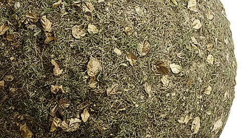 Grass Seamless Texture Patterns 2k (2048*2048) | EXR 5 | JPG 5 File Formats. (1K preview image)