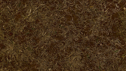 Grass Seamless Texture 2k (2048*2048) | EXR 5 | JPG 5 File Formats All Texture Apply After Object Look Like A 3D. (1K preview image)