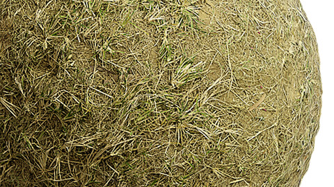 Grass Seamless Texture Patterns 2k (2048*2048) | EXR 5 | JPG 5 File Formats. (1K preview image)