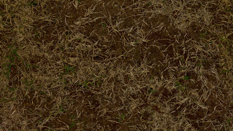 Grass Seamless Texture 2k (2048*2048) | EXR 5 | JPG 5 File Formats All Texture Apply After Object Look Like A 3D. (1K preview image)