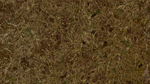 Grass Seamless Texture 2k (2048*2048) | EXR 5 | JPG 5 File Formats All Texture Apply After Object Look Like A 3D. (1K preview image)