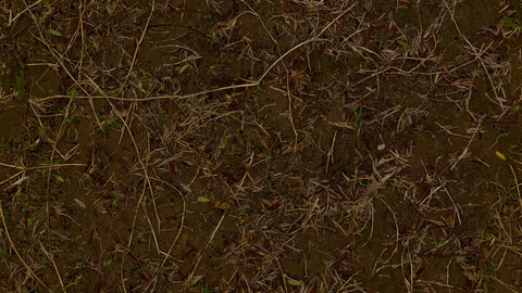 Grass Seamless Texture 2k (2048*2048) | EXR 5 | JPG 5 File Formats All Texture Apply After Object Look Like A 3D. (1K preview image)