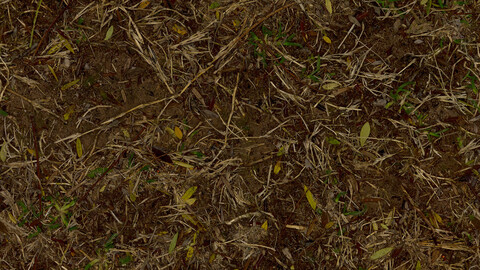 Grass Seamless Texture 2k (2048*2048) | EXR 5 | JPG 5 File Formats All Texture Apply After Object Look Like A 3D. (1K preview image)