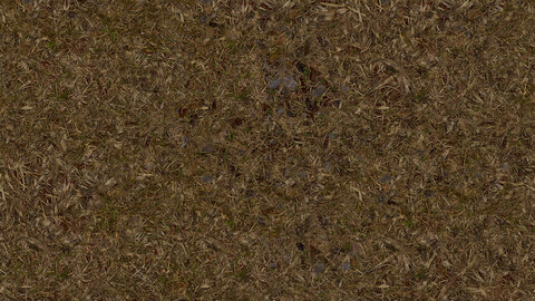 Grass Seamless Texture 2k (2048*2048) | EXR 5 | JPG 5 File Formats All Texture Apply After Object Look Like A 3D. (1K preview image)