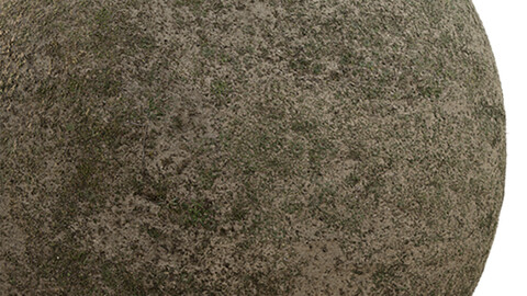 Grass Seamless Texture Patterns 2k (2048*2048) | EXR 5 | JPG 5 File Formats. (1K preview image)